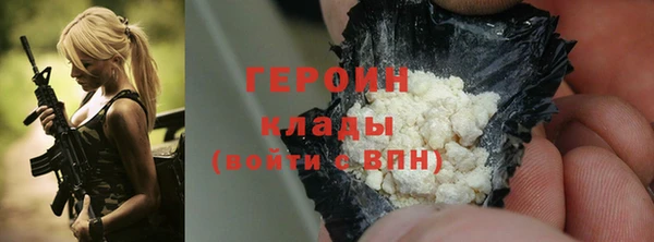 индика Надым