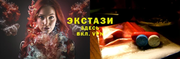 индика Надым