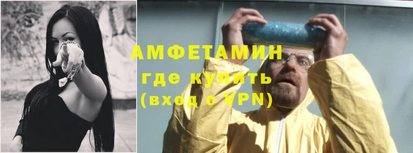 индика Надым
