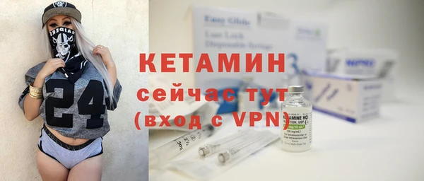индика Надым