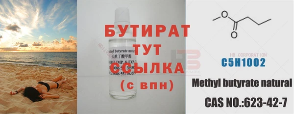 индика Надым