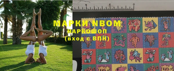 индика Надым