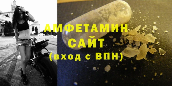 индика Надым