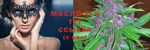 индика Надым