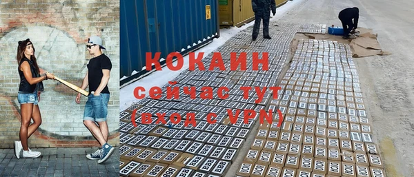 индика Надым