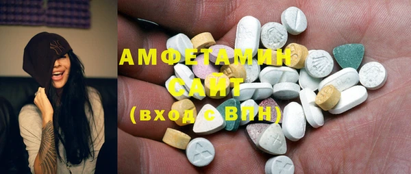 индика Надым
