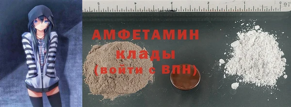 индика Надым