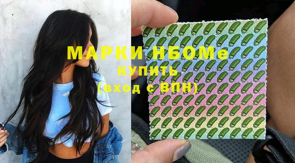 индика Надым