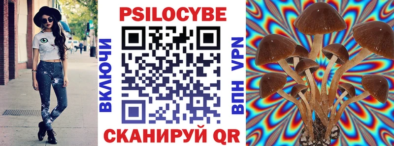 Галлюциногенные грибы MAGIC MUSHROOMS  купить закладку  Новый Оскол 